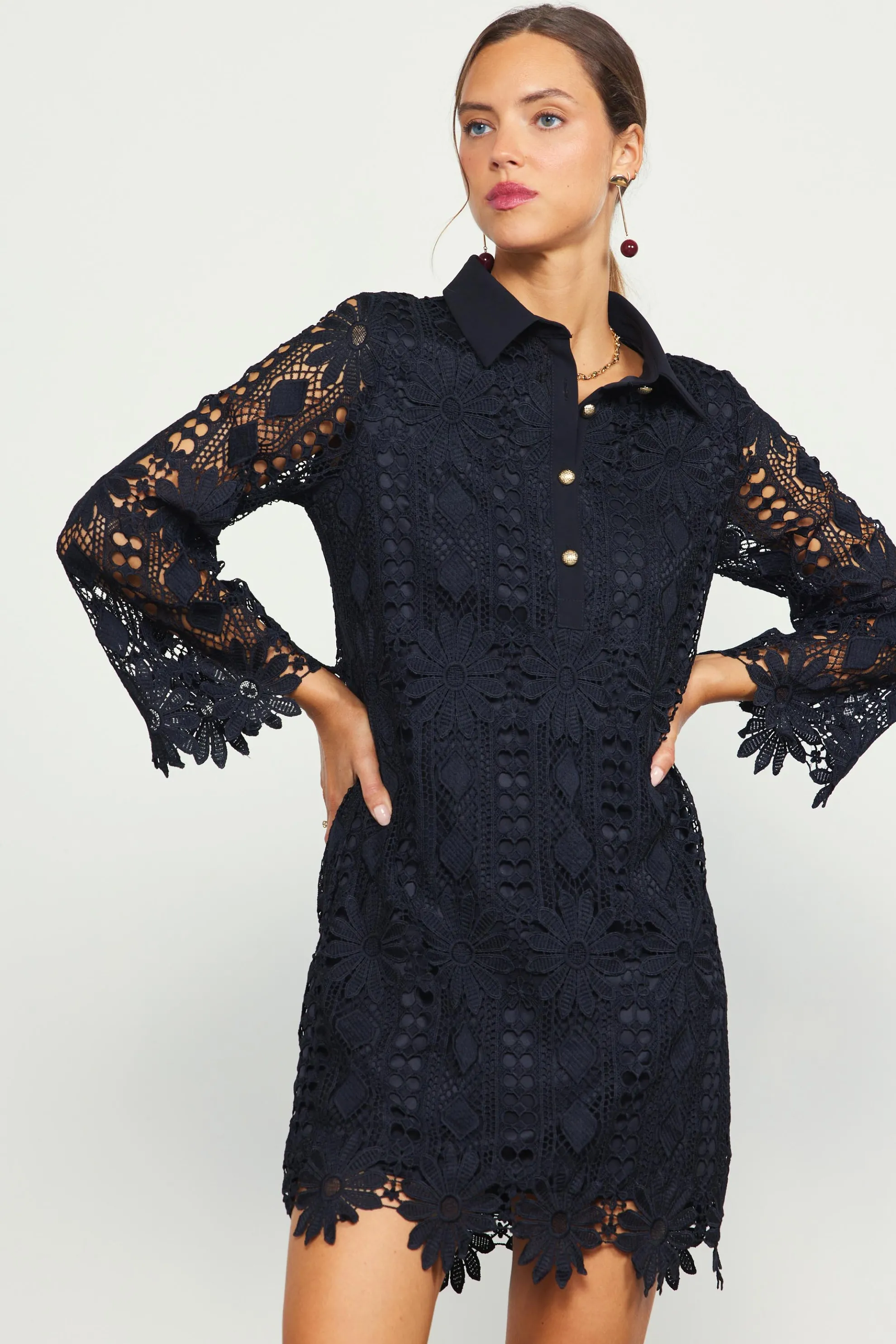 Embroidered Eyelet Lace Mini Dress