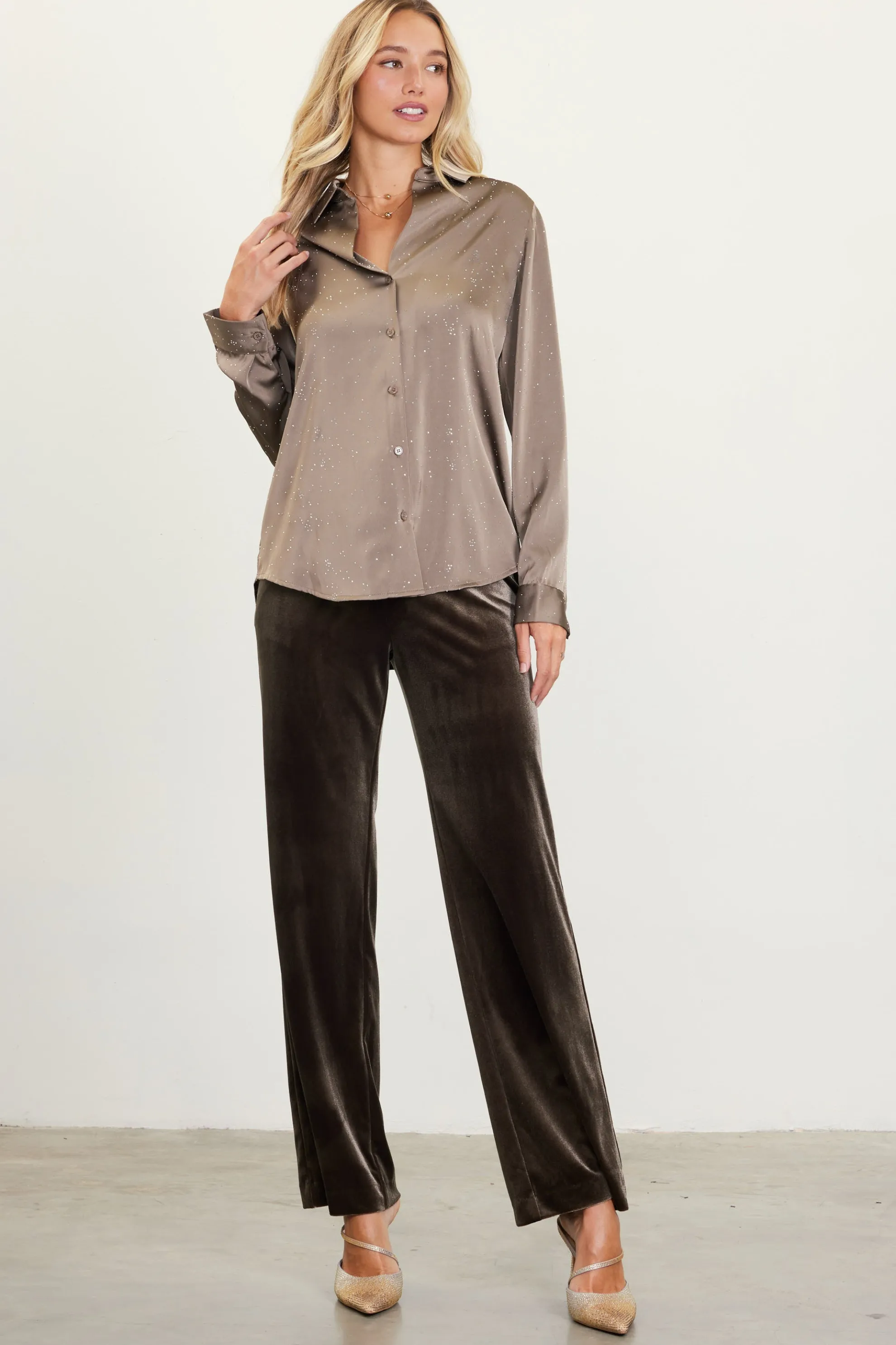 Shimmery Button Down Blouse