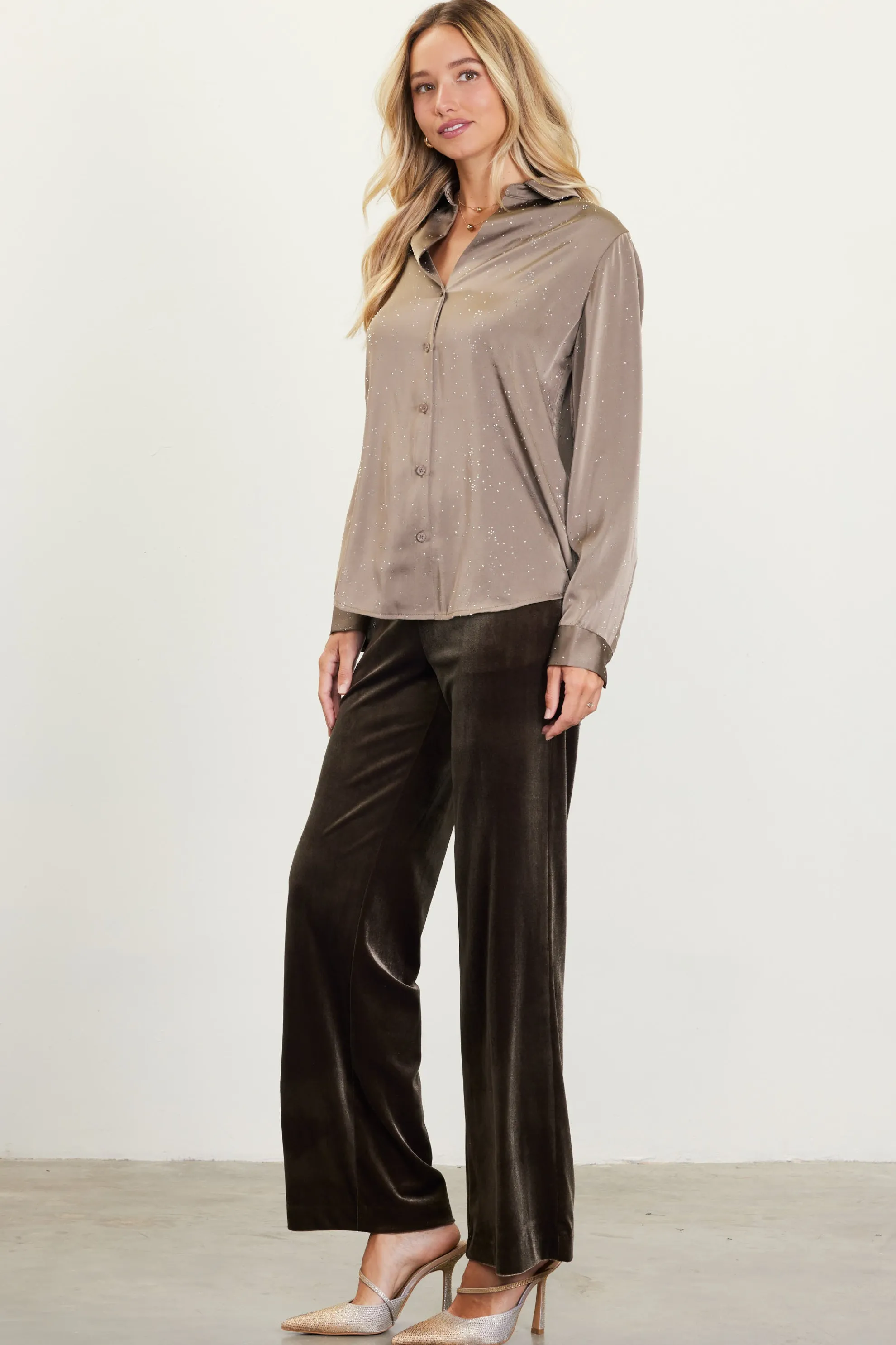 Shimmery Button Down Blouse