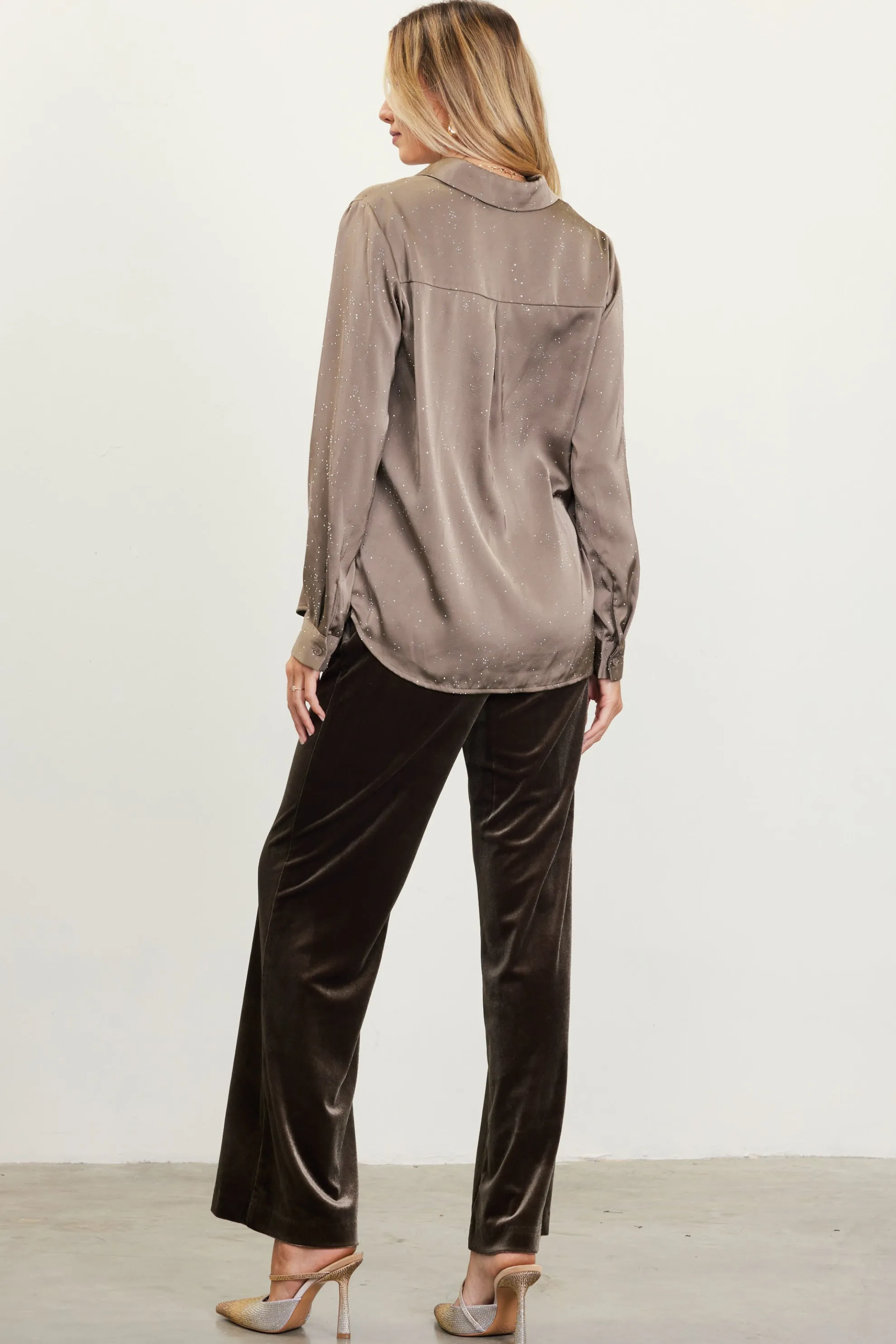 Shimmery Button Down Blouse