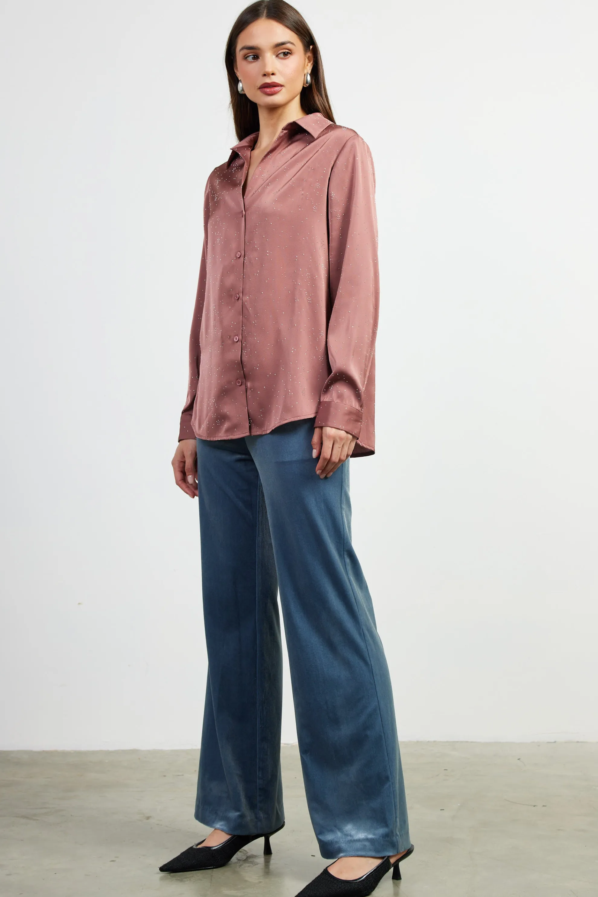 Shimmery Button Down Blouse