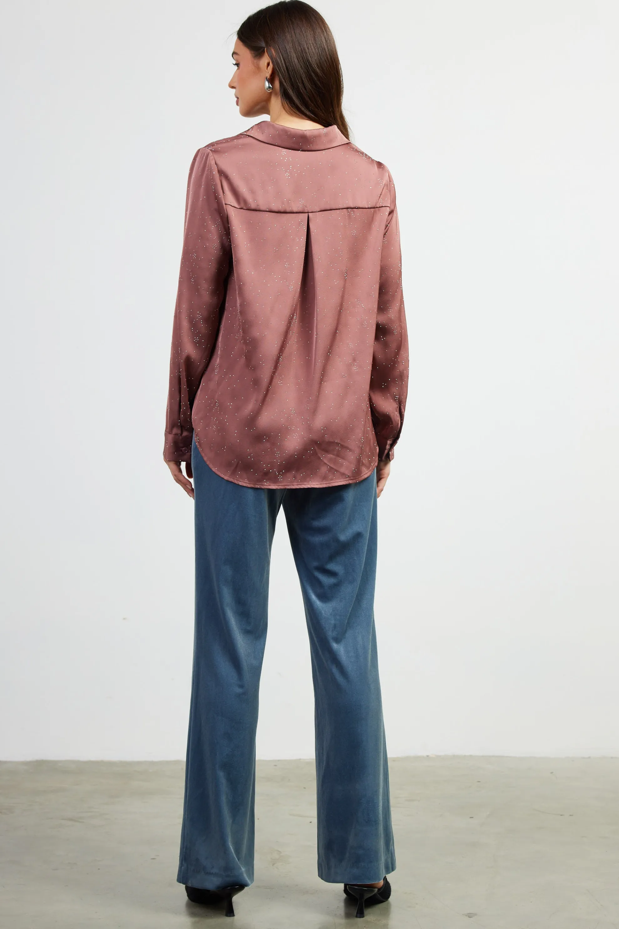 Shimmery Button Down Blouse