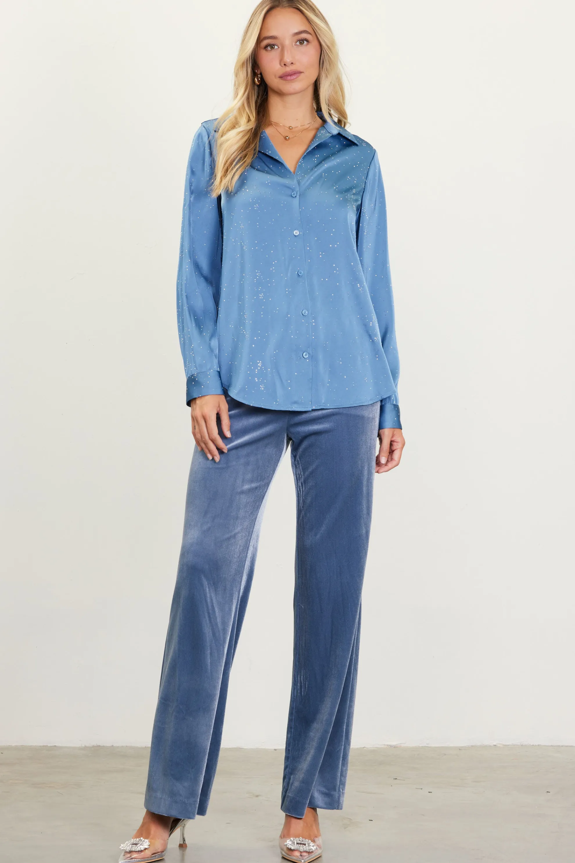 Shimmery Button Down Blouse