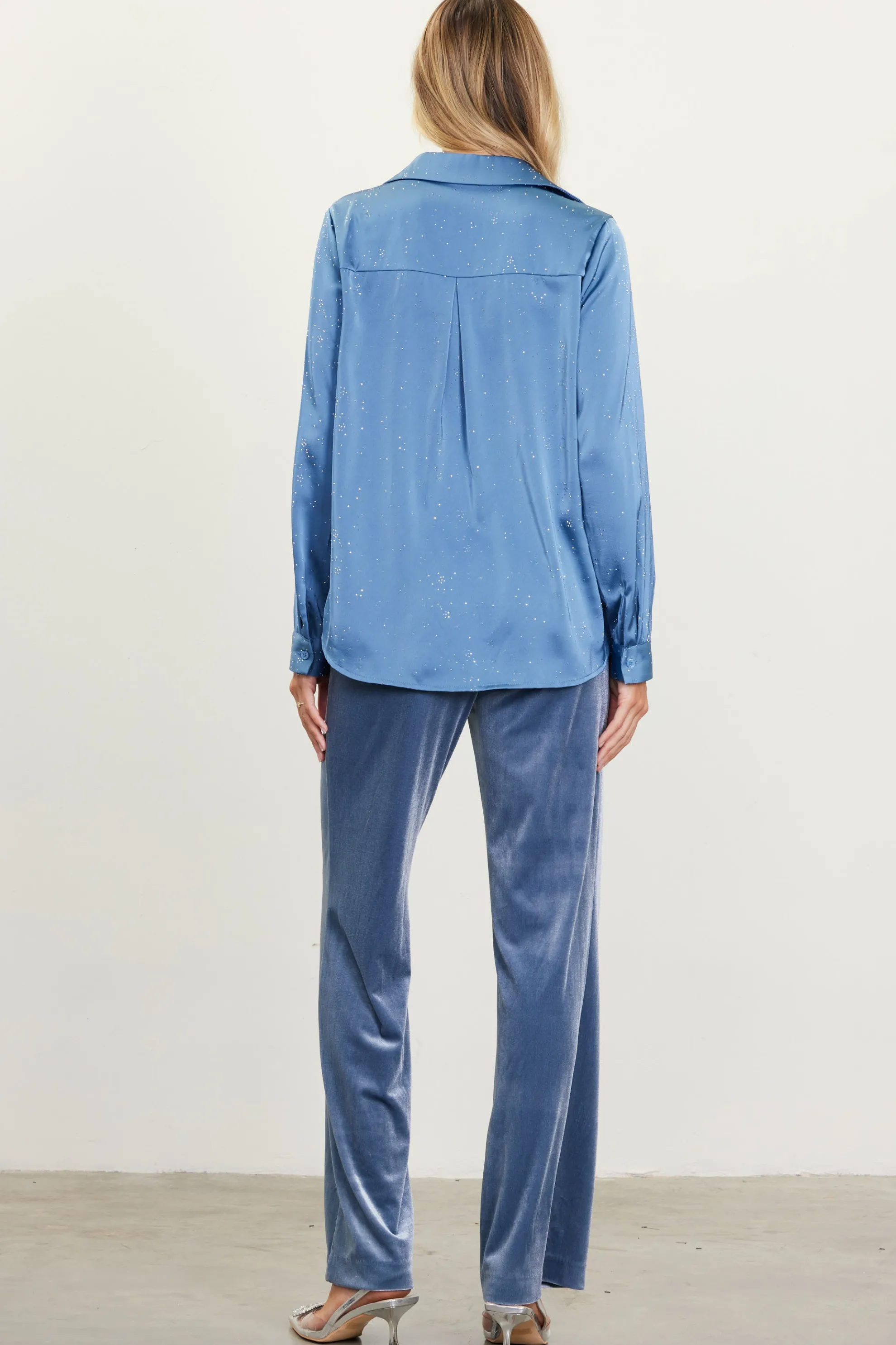 Shimmery Button Down Blouse